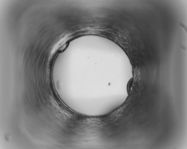 X0000102500150200808291719