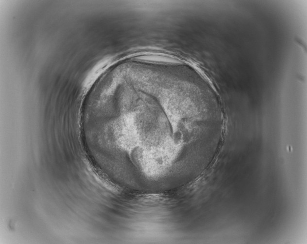 X0000102500151200808291719