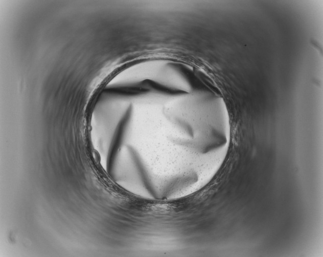 X0000102500152200808291719