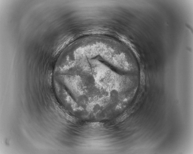 X0000102500153200808291719