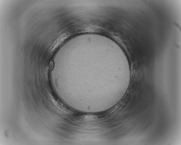 X0000102500154200808291719