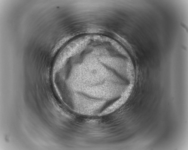 X0000102500155200808291719