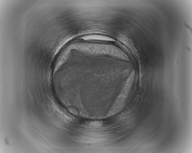 X0000102500156200808291719