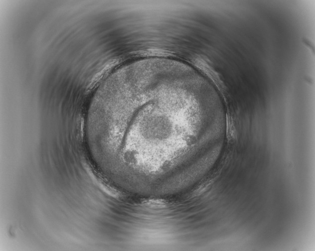 X0000102500157200808291719