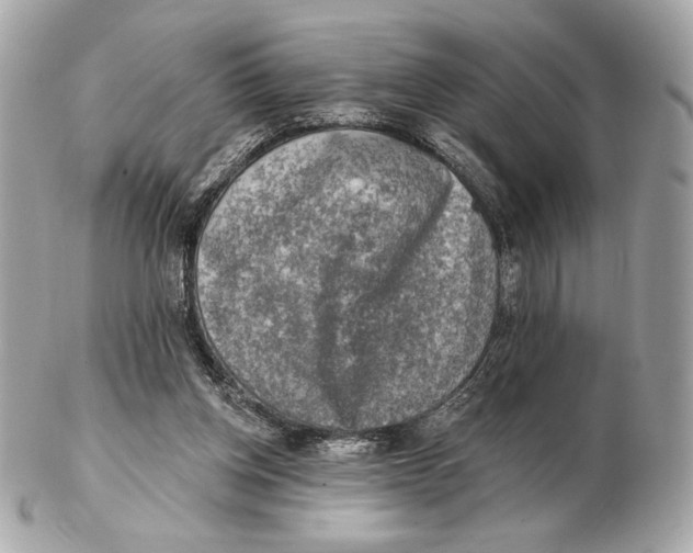 X0000102500158200808291719