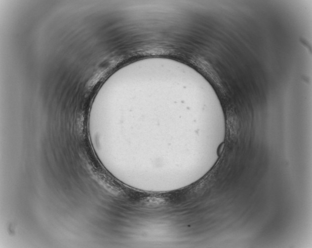 X0000102500159200808291719