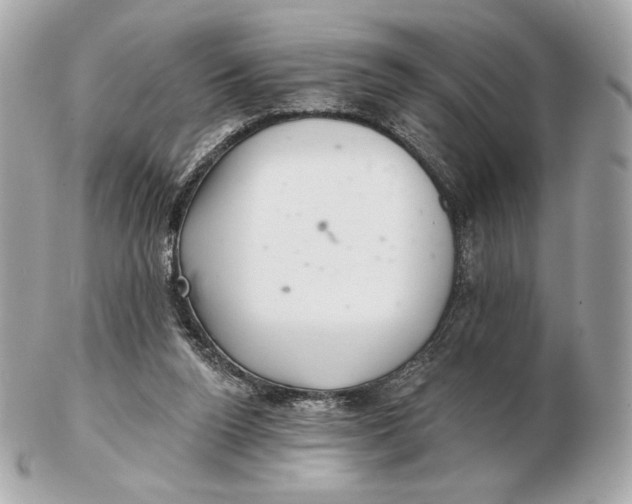 X0000102500160200808291719