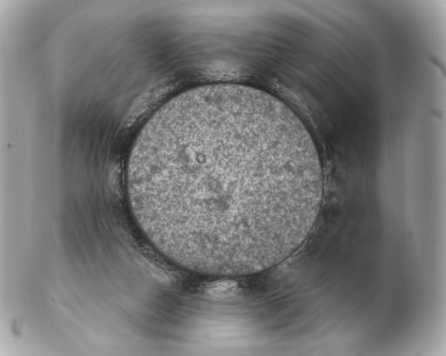 X0000102500162200808291719