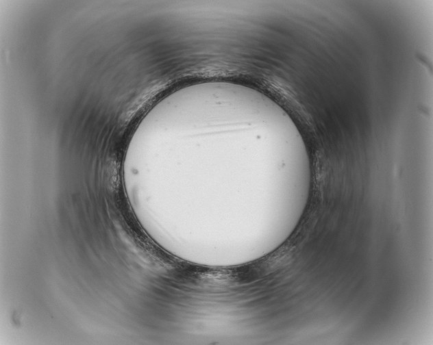 X0000102500164200808291719