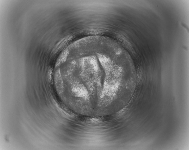 X0000102500166200808291719