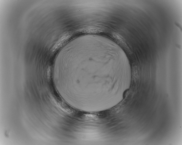 X0000102500167200808291719