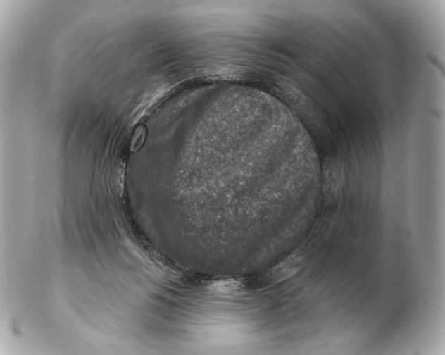 X0000102500168200808291719