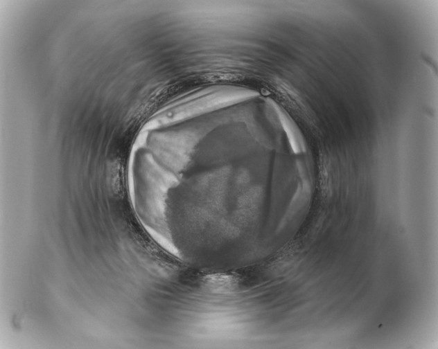 X0000102500169200808291719