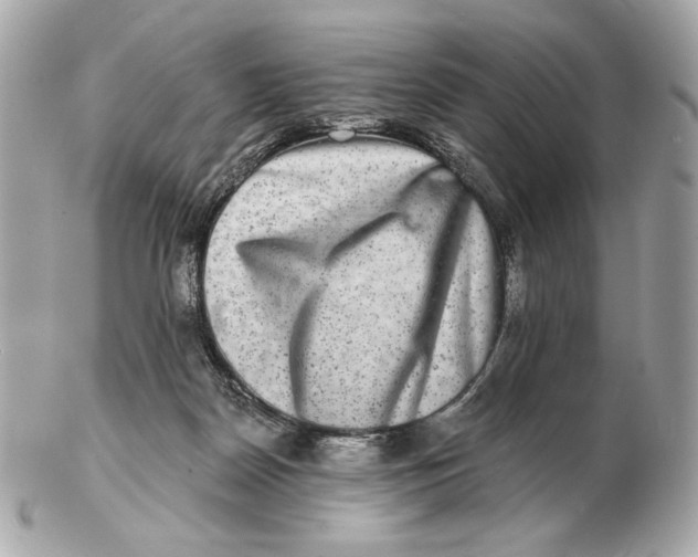 X0000102500170200808291719