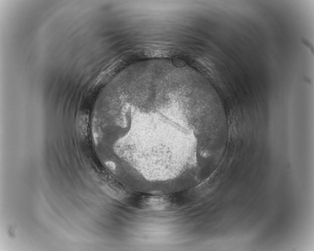 X0000102500171200808291719