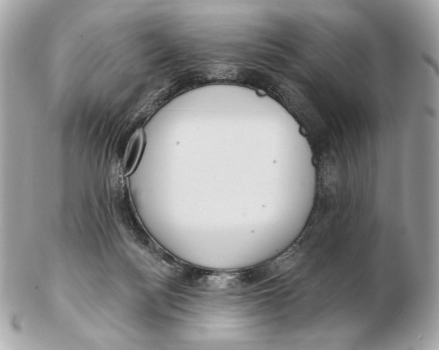 X0000102500172200808291719