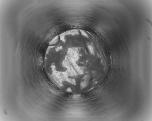 X0000102500173200808291719