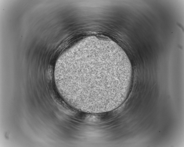 X0000102500174200808291719