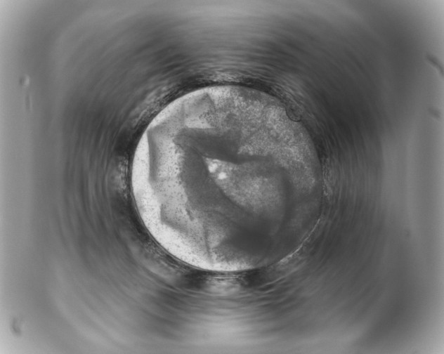 X0000102500175200808291719