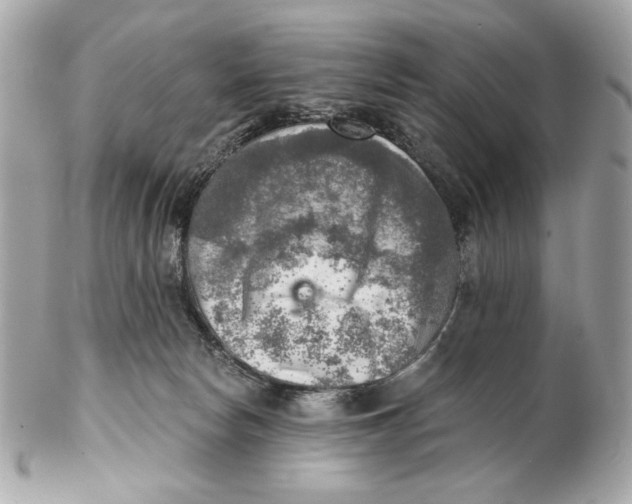 X0000102500178200808291719