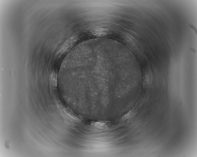 X0000102500180200808291719