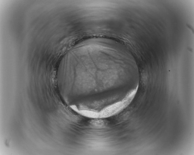 X0000102500181200808291719