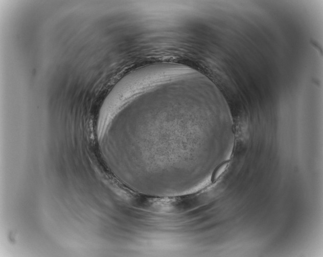 X0000102500182200808291719