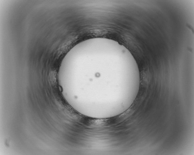 X0000102500184200808291719