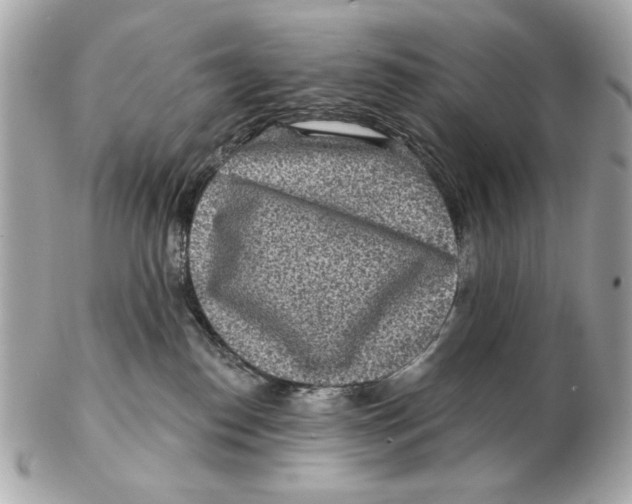 X0000102500186200808291719