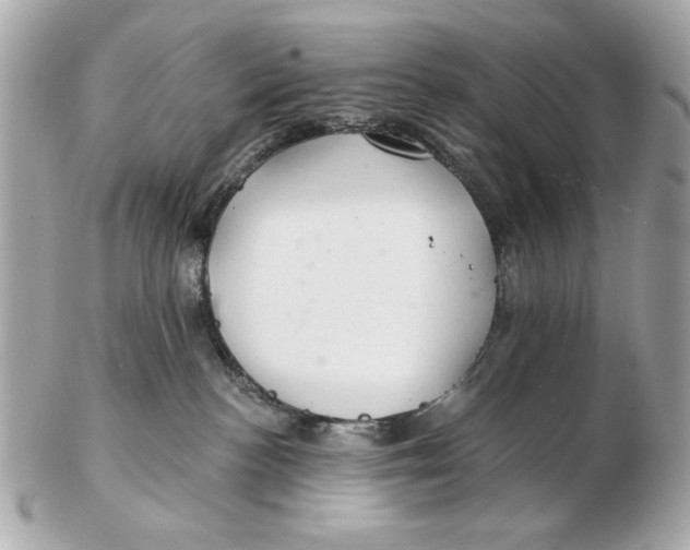 X0000102500188200808291719