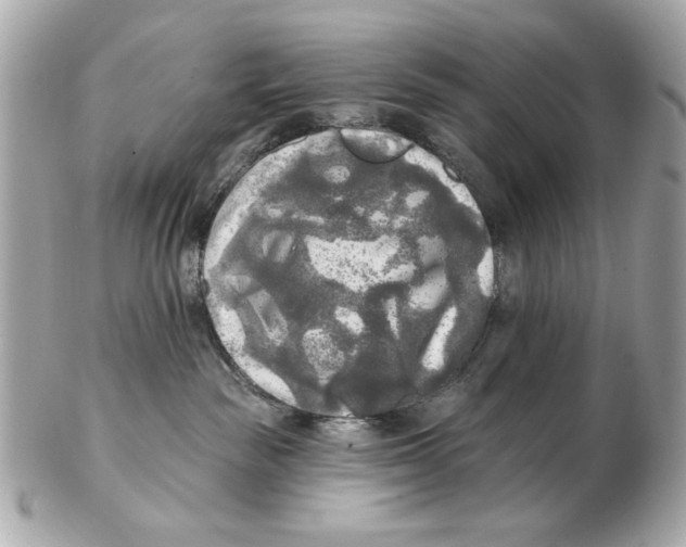 X0000102500189200808291719