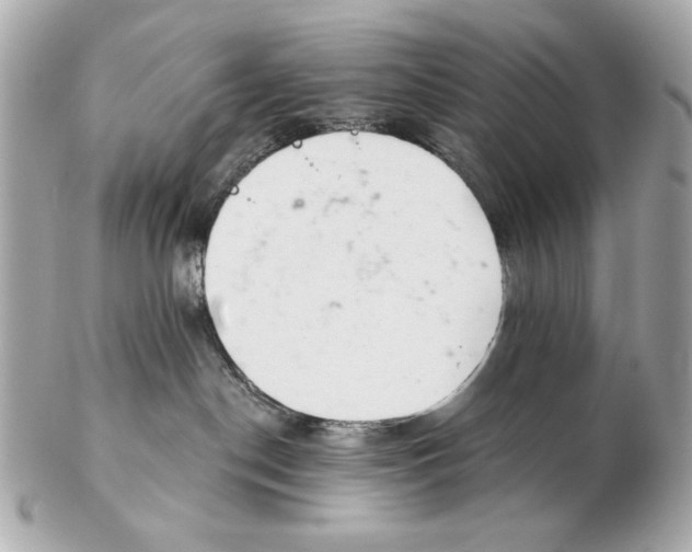 X0000102500190200808291719