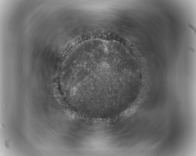 X0000102500192200808291719