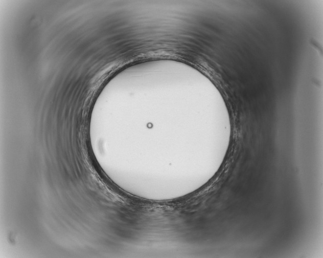 X0000102500193200808291719