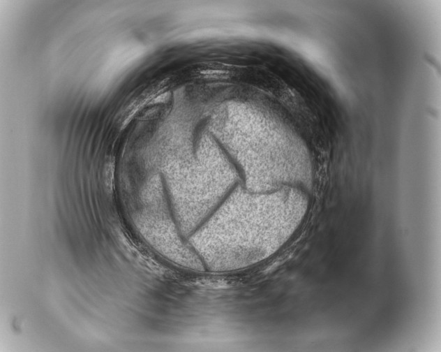 X0000102500194200808291719