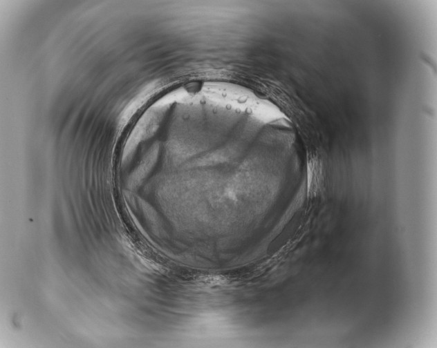 X0000102500195200808291719