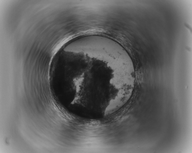 X0000102500196200808291719