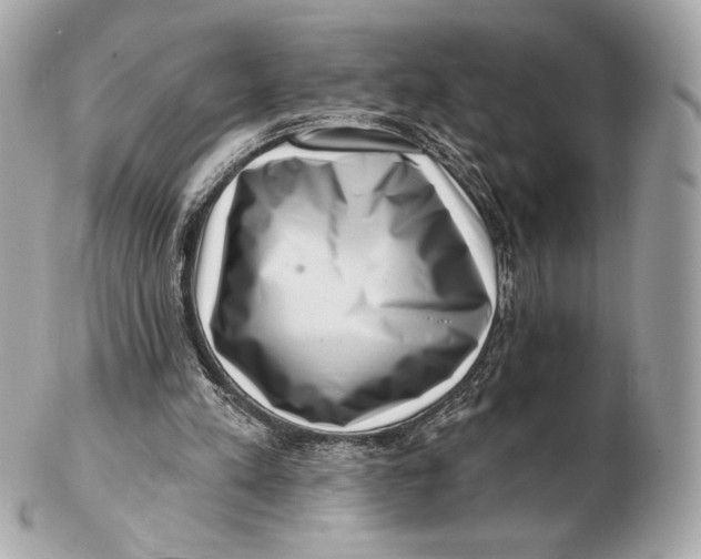 X0000102500197200808291719