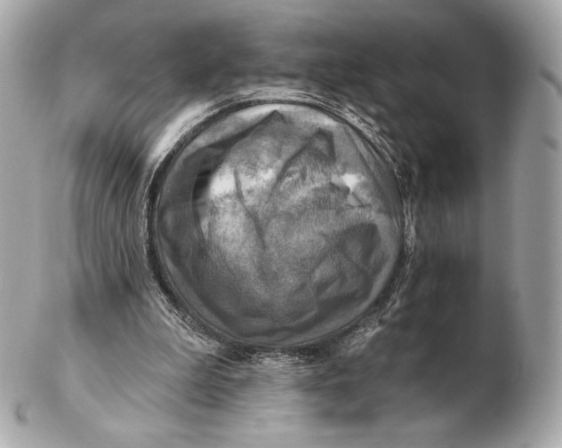 X0000102500199200808291719