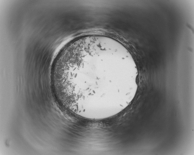 X0000102500200200808291719