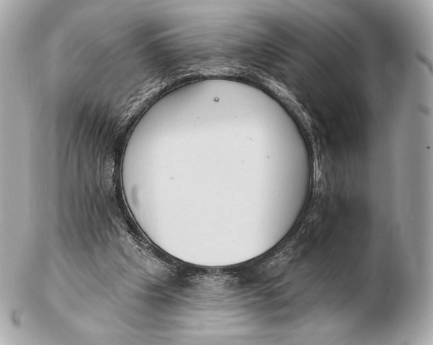 X0000102500201200808291719