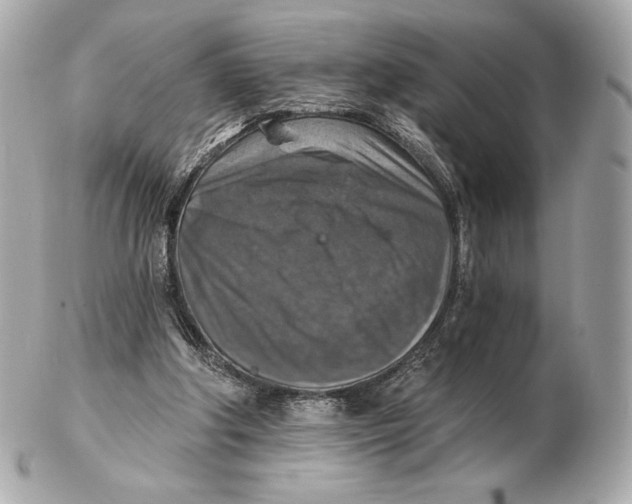 X0000102500202200808291719