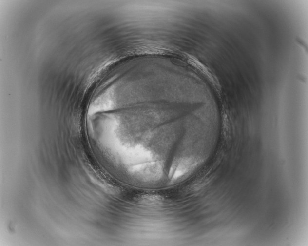 X0000102500203200808291718