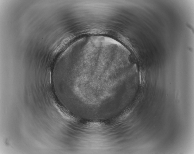 X0000102500205200808291718