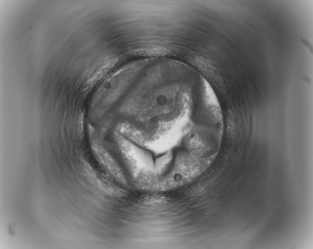 X0000102500206200808291718