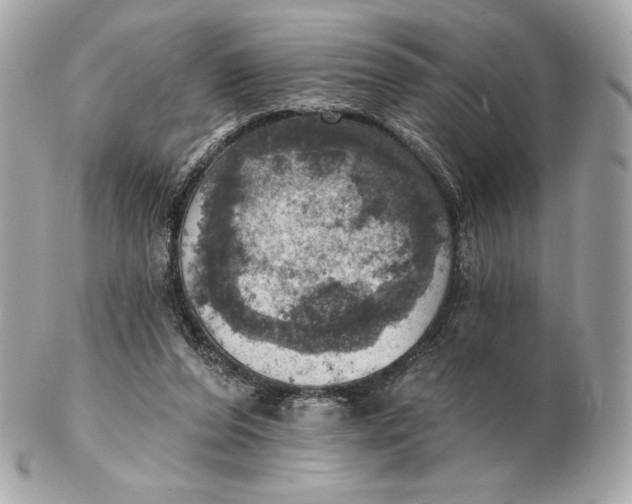 X0000102500208200808291718