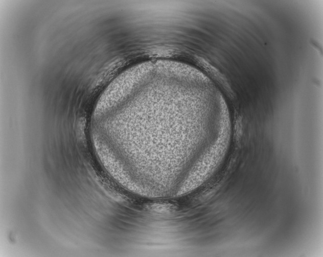 X0000102500209200808291718