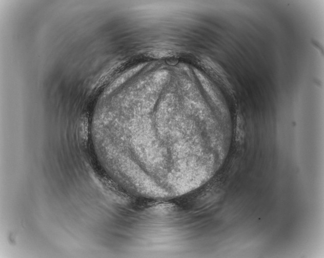 X0000102500210200808291718