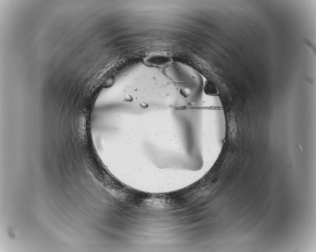 X0000102500211200808291718