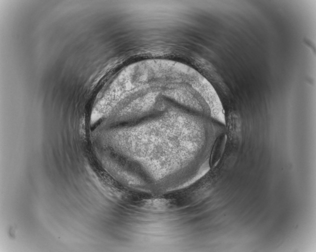 X0000102500212200808291718